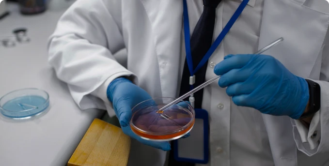 exame_de_microbiota_intestinal_imagem